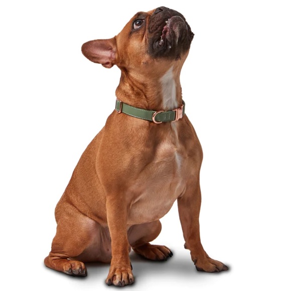 NWOT Koston SET M/L Dog Collar and Leash Set in sage green - Picture 13 of 14